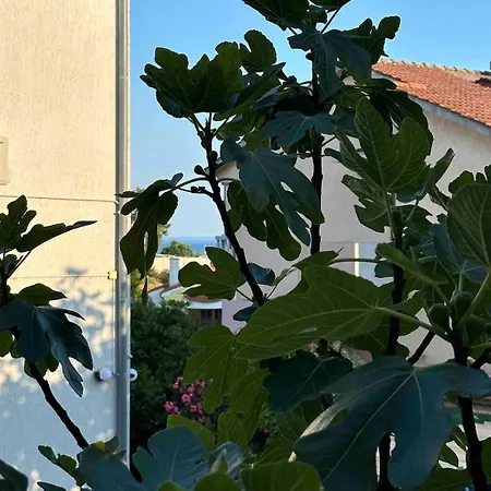 Apartment Fellini-boho Chic Apartment-with Sea View *